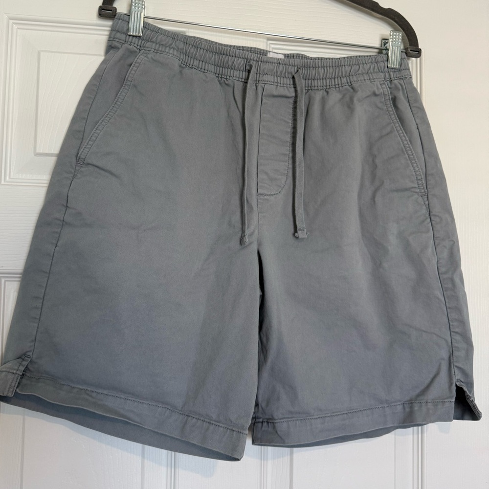 2 pairs GAP Men’s Drawstring Casual Shorts size Small
[Blue + Cream]